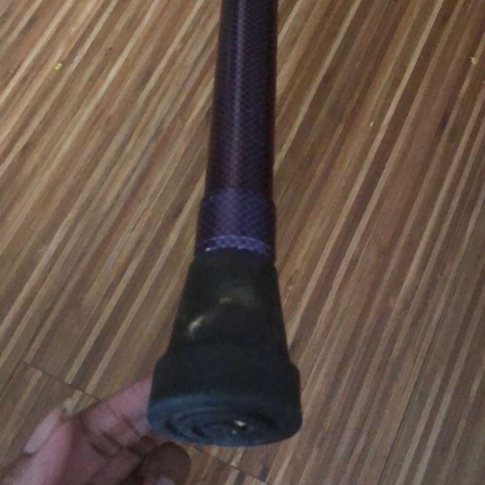 Cane - Picture 2 of 7